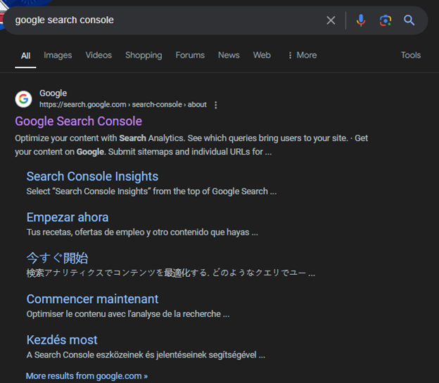 Google Search results for google search Console 